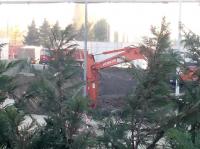 Imagine atasata: IMG_20151105_154547.jpg